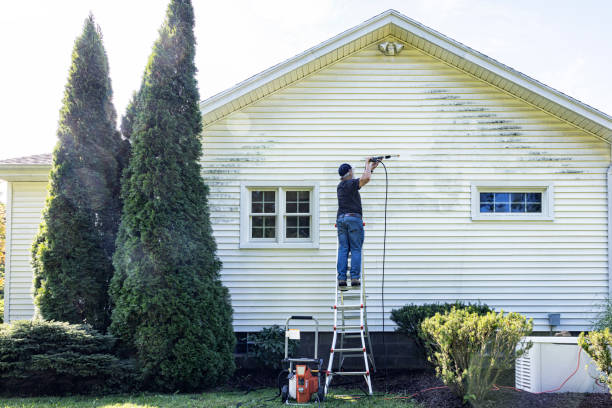 Best Driveway Pressure Washing  in Victory Gardens, NJ